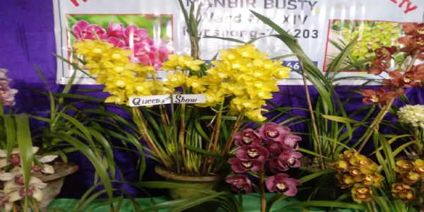 खरसाङमा तीन दिवसीय फूल प्रदर्शनी आरम्भ