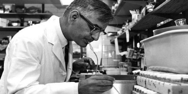 इतिहासको पानामा 16 अक्टोबरः 1968 मा हरगोविन्द खुरानालाई चिकित्साको क्षेत्रमा नोबेल पुरस्कार प्रदान गरियो