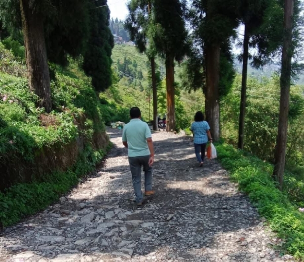 आईजीजेएफद्वारा सिङ्गेल चियाबारी रोड झट्टै मरम्मत गर्नुपर्ने माग आईजीजेएफद्वारा सिङ्गेल चियाबारी रोड झट्टै मरम्मत गर्नुपर्ने माग