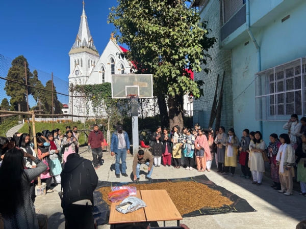 South feild South feild