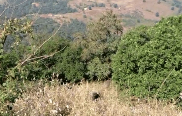 दुर्घटना दुर्घटना