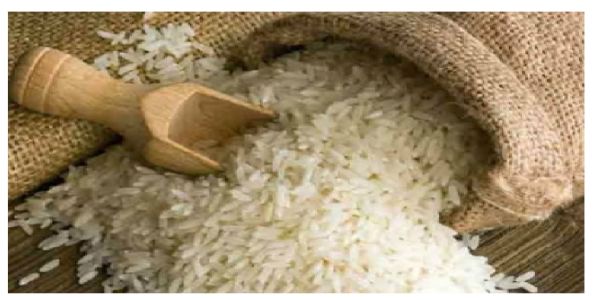 छत्तीसगढबाट पहिलोपटक फोर्टिफाइड चामलको खेप कोस्टा रिका पठाइयो