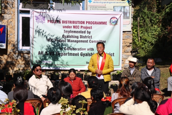 योक्सममा एनईसी परियोजना अन्तर्गत सुॅंगुरका बच्चाहरू वितरण योक्सममा एनईसी परियोजना अन्तर्गत सुॅंगुरका बच्चाहरू वितरण