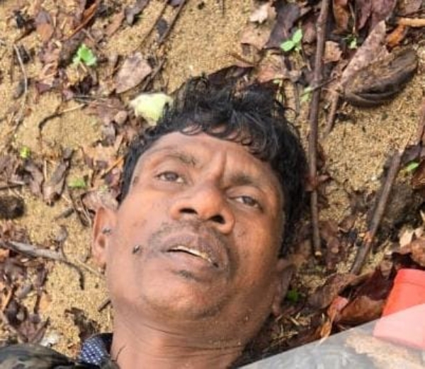 तुलसी