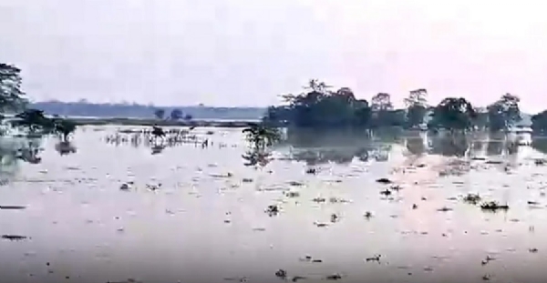 काजी