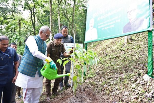 विश्व पर्यावरण दिवस पालन