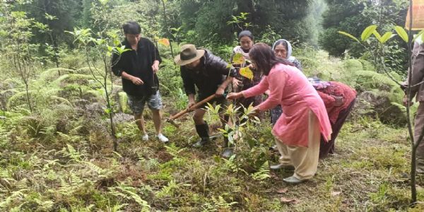 चिमनी क्षेत्रमा वृक्ष रोपण कार्यक्रम सम्पन्न
