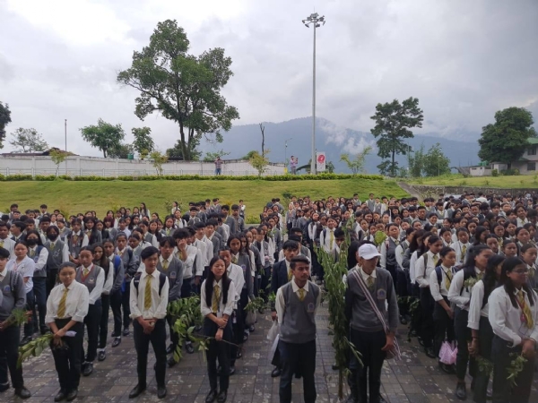 सञ्चमान लिम्बू सरकारी कलेजमा विश्व पर्यावरण दिवस पालन