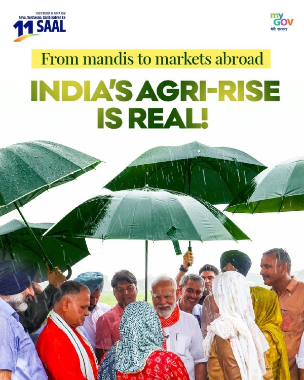 एग्रो