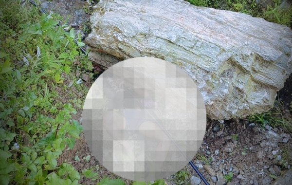 Body of the deceased