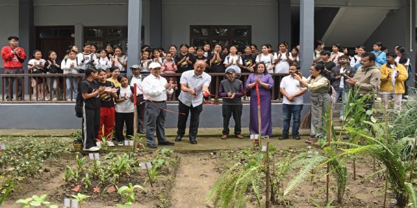 बीएसआई र पीएनजी स्कूलले औषधीय बिरुवा बगैँचाको उद्घाटन गरेर वन महोत्सव 2025 पालन गऱ्यो