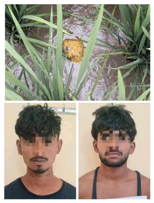 ड्रोन