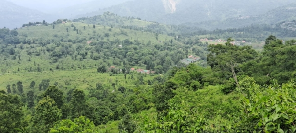 दुई वर्षपछि खोलिएको अम्बटे चियाबारीका श्रमिकहरूले 2021 को बोनस र एरियर पाएको जानकारी