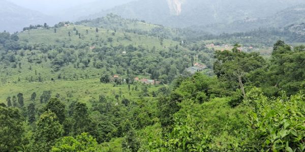 दुई वर्षपछि खोलिएको अम्बटे चियाबारीका श्रमिकहरूले 2021 को बोनस र एरियर पाएको जानकारी