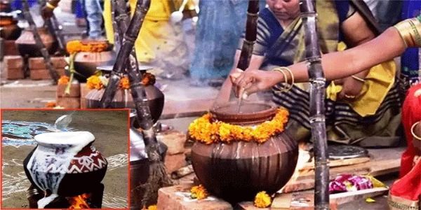 सम्पूर्ण तमिलनाडुमा पोंगलको खुशी, हर्षोल्लासका साथ मनाइँदै पर्व