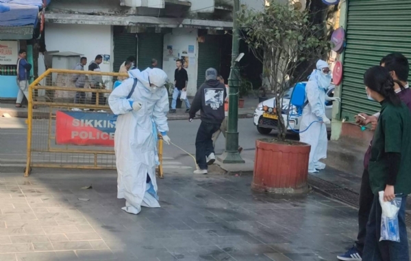 नाम्ची बजारमा परेवाहरू मर्न थालेपछि विभाग सतर्क, जॉंच जारी