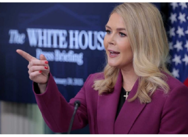 White house White house