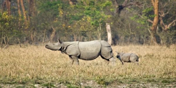 पबित्र अभयारण्य अक्टोबर 13 देखि पर्यटकका लागि खुल्ने, तयारी सम्पन्न