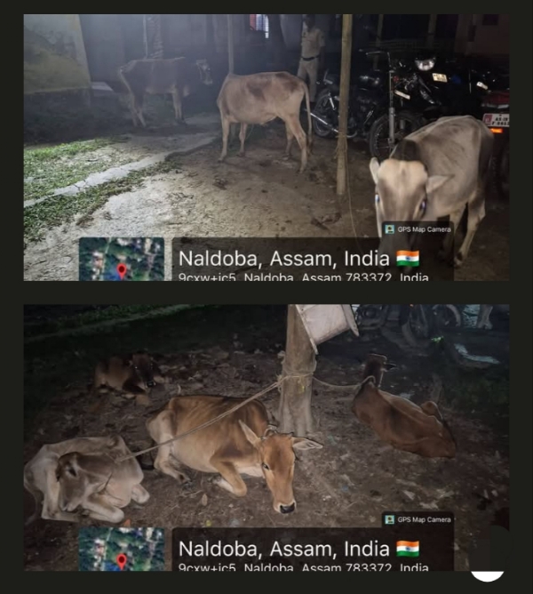 The images Shared by Assam CM Dr Himanta Biswa Sarma. The images Shared by Assam CM Dr Himanta Biswa Sarma.