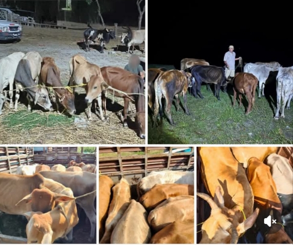 The images Shared by Assam CM Dr Himanta Biswa Sarma.