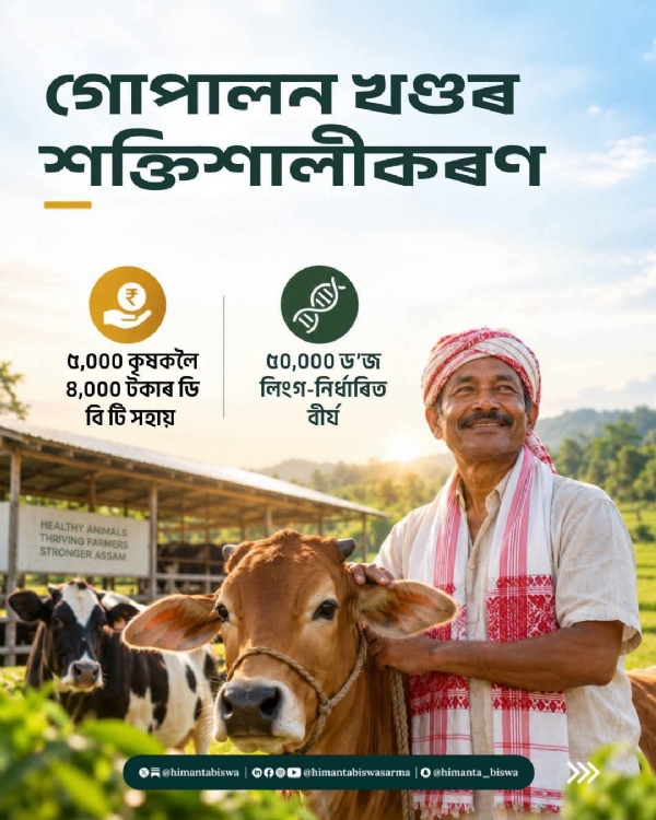 The Illustration shared by Assam CM Dr Himanta Biswa Sarma. The Illustration shared by Assam CM Dr Himanta Biswa Sarma.