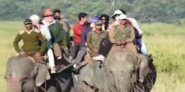 काजीरङ्गा राष्ट्रिय उद्यानमा एक नोभेम्बरदेखि हात्ती सफारी शुरु हुने