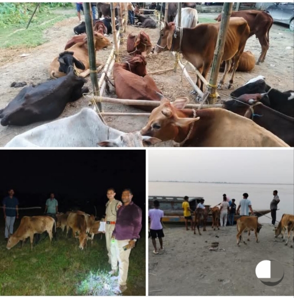 The images Shared by Assam CM Dr Himanta Biswa Sarma.