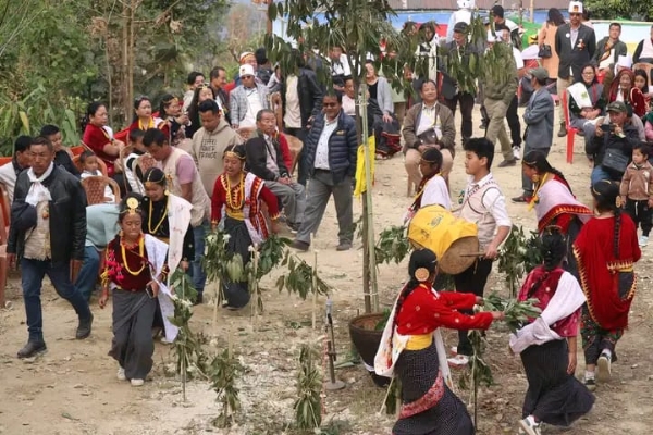 Sittong sakela Sittong sakela