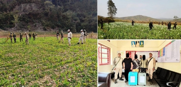 मणिपुरमा ३५ एकड अफिम खेती नष्ट