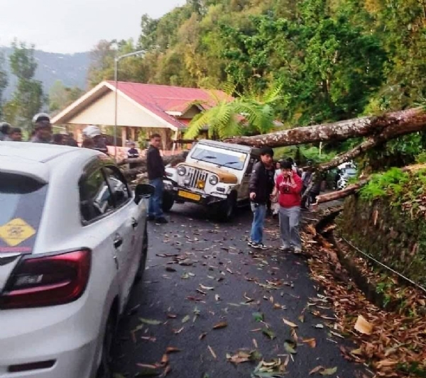 भारी असिना-पानीले जनधनलाई व्यापक क्षति भारी असिना-पानीले जनधनलाई व्यापक क्षति