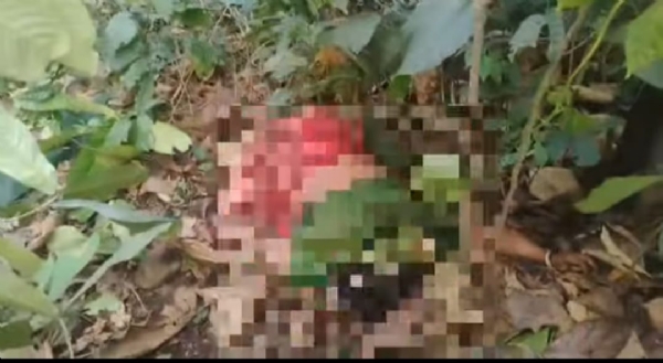 हात्तीको आक्रमणमा एक वृद्धा घाइते