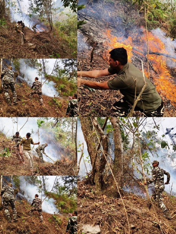 एसएसबीका जवानहरूको सक्रियतामा जङ्गलमा लागेको आगोलाई निष्क्रिय पारियो