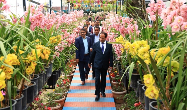 पाकिममा अर्किड महोत्सव जारी