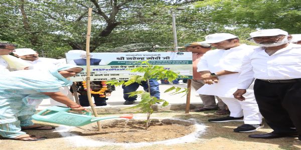 ‘एक रूख आमाको नाम’ अन्तर्गत एनडीएमसीले चलायो पौधारोपण कार्यक्रम