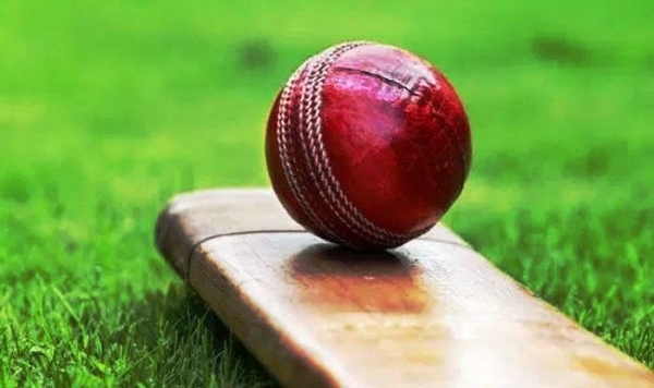 cricket cricket
