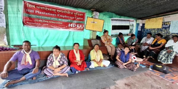 पीएफ नबुझाएको आरोपमा लङ्भ्यू चियाबारीका मालिक बिरुद्ध एफआईआर, बुधवार एएलसीमा सभा