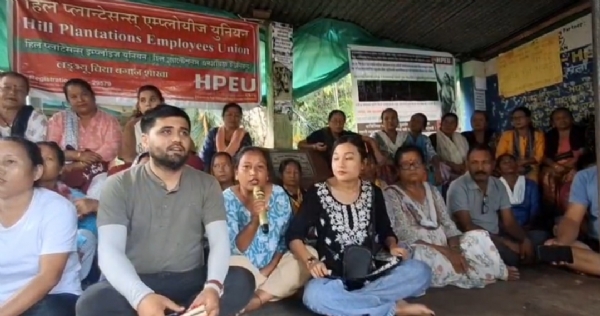 लङ्भ्यू चियाबारी