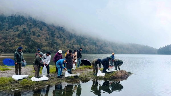 मेंमोइत्सो लेकमा ब्राउन ट्राउट माछाका बच्चाहरू छोडियो, सरसफाई अभियान सञ्चालित