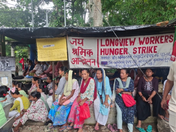 Longview tea garden dharna