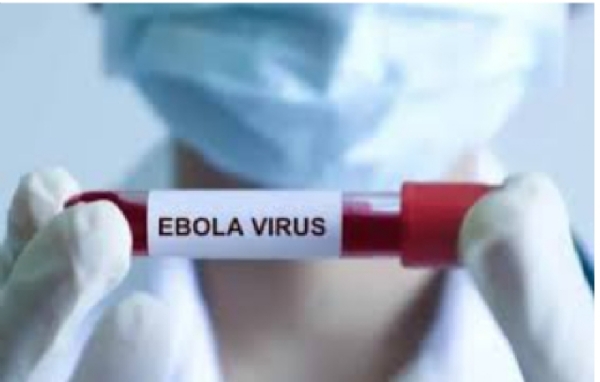Ebola virus Ebola virus