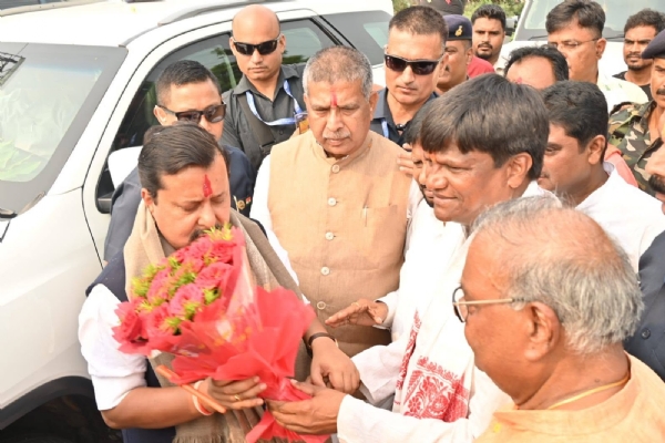 भाजपा राष्ट्रिय अध्यक्ष भाजपा राष्ट्रिय अध्यक्ष