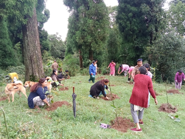 Plantation at three mile Plantation at three mile