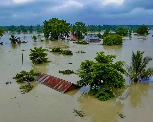 Image of the Assam Flood Situation