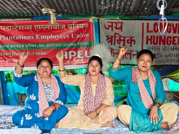लङ्भ्यू चिया बगानका श्रमिकहरूको धर्ना जारी