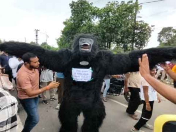 बनमनुष के भेष में छात्र