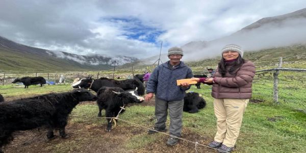 मङ्गन जिल्लामा १५ हजार फिट उचाइमा याक काफ र्याली आयोजित