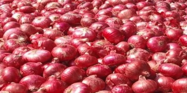 प्याजले बिगार्यो भान्साको बजेट, खुद्रा बजारमा प्रतिकिलो ७० रुपियाँ