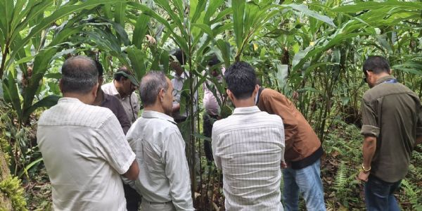 पीआईबीको सञ्चारकर्मी टोलीले दक्षिण रिगुमा ठूलो अलैँची खेतीको अवलोकन गऱ्यो