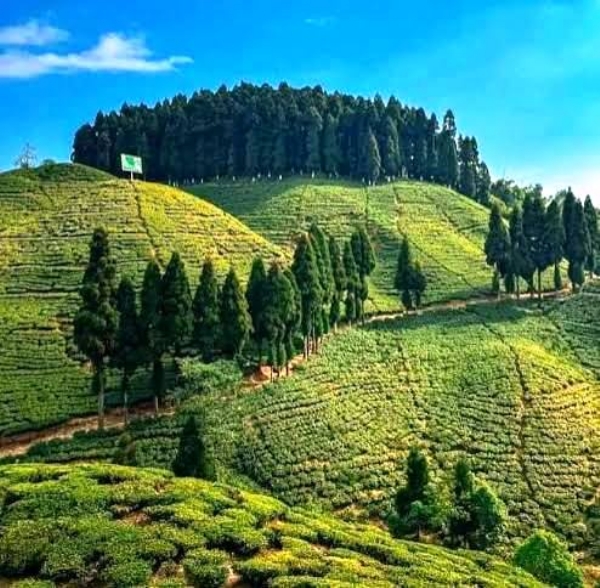 सांकेतिक सांकेतिक