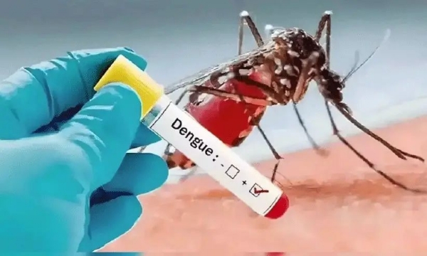 Dengue fever
